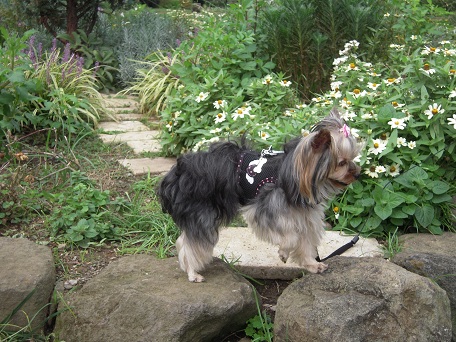 2010.10.17 DSCN3414.JPG