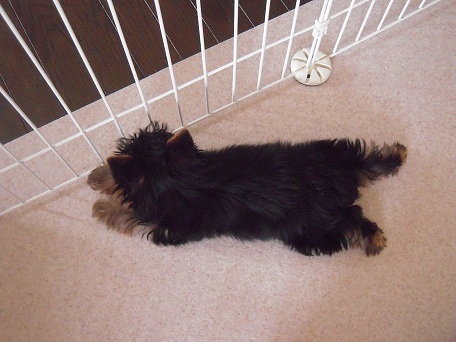 2009.06.13 DSCN0380.jpg