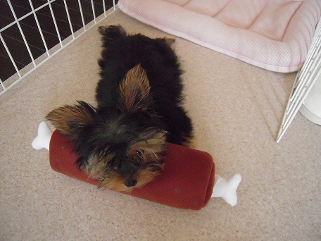 2009.07.16 DSCN1753.jpg