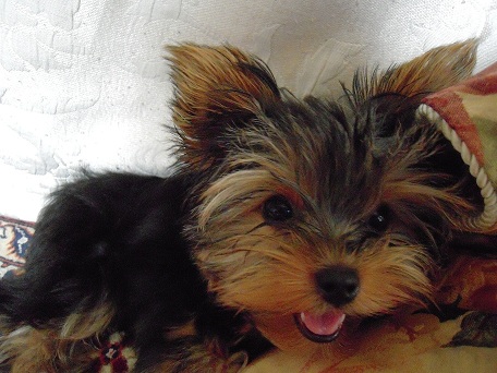 2009.07.19 DSCN1759.jpg