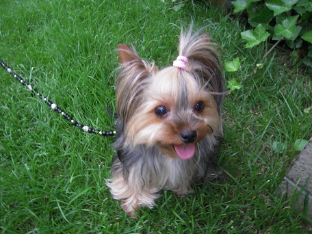 2011.06.15 DSCN4121.JPG