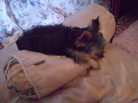 うんしょ　うんしょ