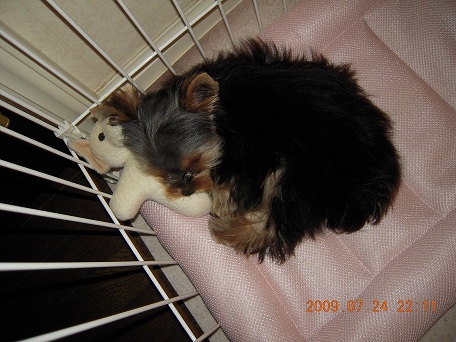 2009.07.24 DSCN1813.JPG