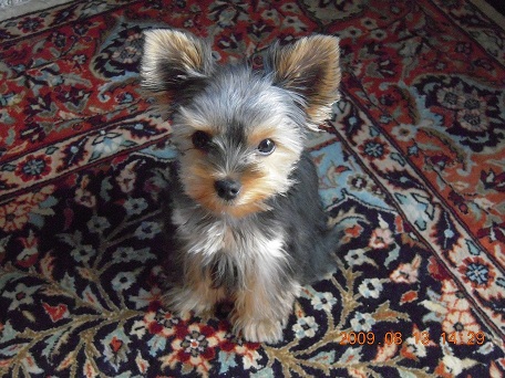 2009.08.13 DSCN2086.JPG