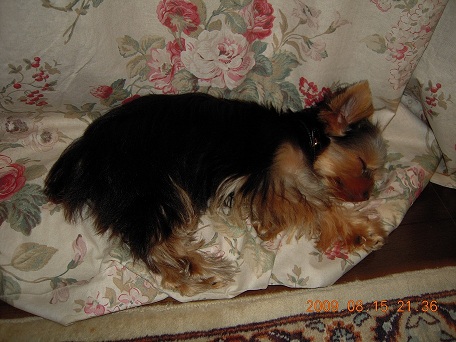 2009.08.15 DSCN2123.JPG