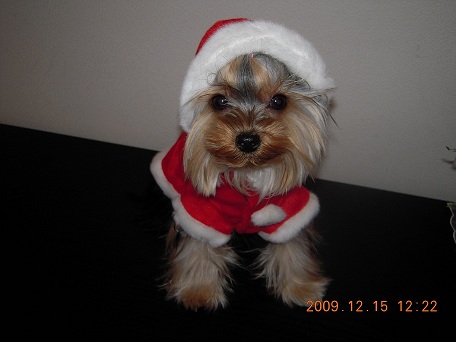 2009.12.15 DSCN2785.JPG