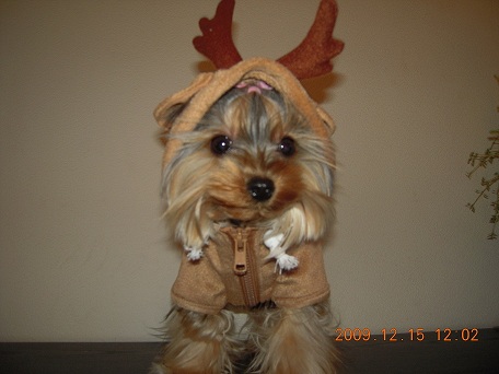 2009.12.15 DSCN2759.JPG