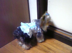 240×179 110420_211805.jpg