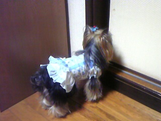 320×240 110420_211819.jpg