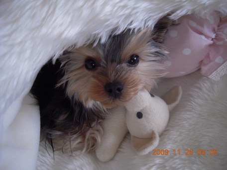 2009.11.26 DSCN2734.JPG