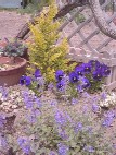 2005-05-11 13:37:22