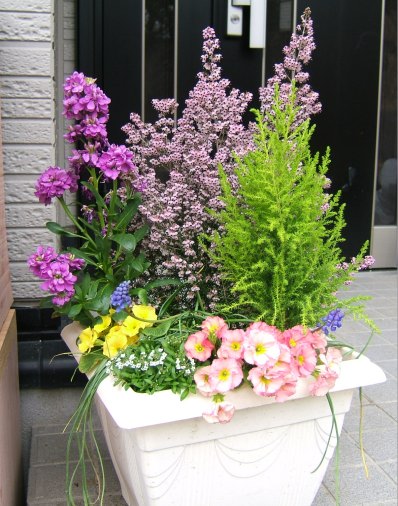 寄せ植え2