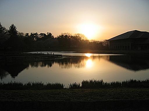夕焼け