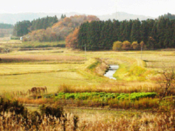 inaka