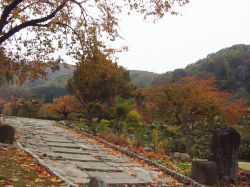 yamadera