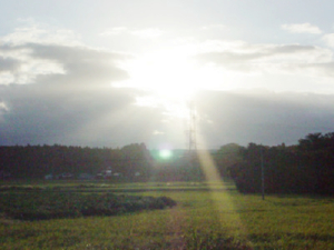 taifuuato