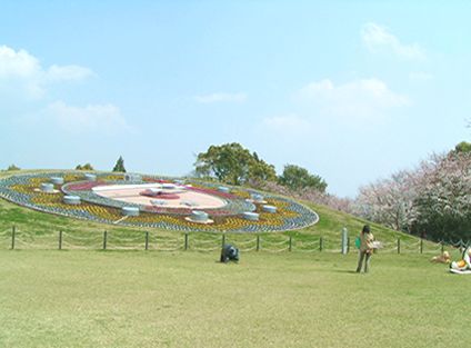 綾　馬事公園　花時計