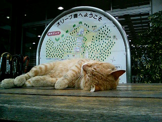 060626_095858.JPG