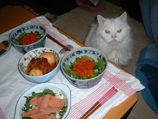 イクラ丼