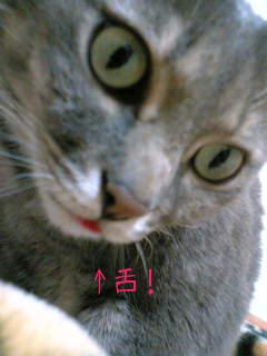 もも