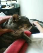 2005-04-21 15:10:54