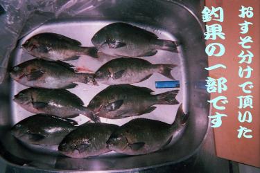 2005.2.6佐々木釣果4