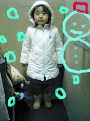 ゆめだるま