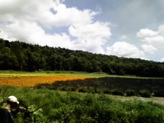 rokugo landscape