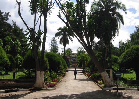 Addis Ababa Uni campus