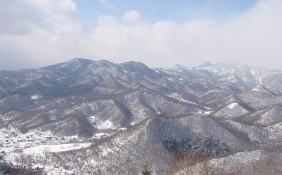 背後には山も広がる