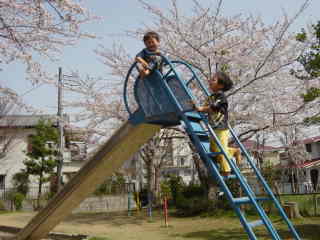 manaphoto3