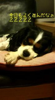 今日もよく遊んだわ