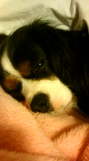 ばあちゃんのベッドで・・