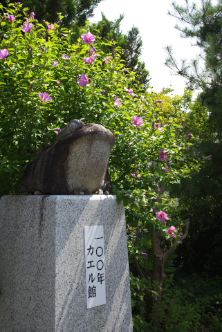 カエルの門