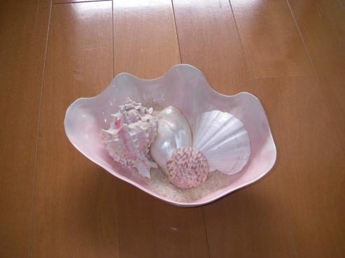 Shell