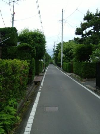 仲町伝統的建造物保存地区