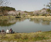 西城沼公園