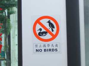 鳥さん禁止