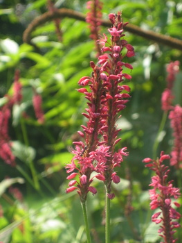 ２００９．８．２６・２７北海道 057-1.jpg