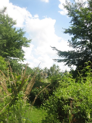 ２００９．８．２６・２７北海道 041-1.jpg