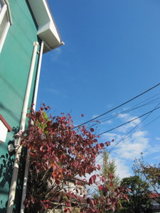 ２０１０．１１ 060-1.jpg