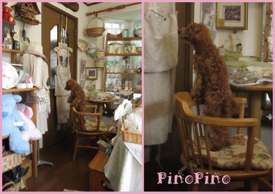 アルバム・PinoPino２０１１．９＆１０1.jpg