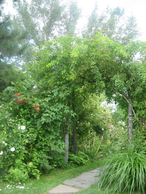 ２００９．８．２６・２７北海道 090-1.jpg