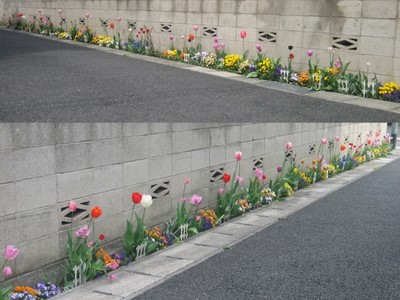 ２０１０年４月-6.jpg