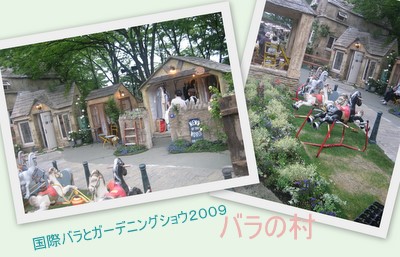 ２００９国際バラとガーデニングショウ1-23.jpg