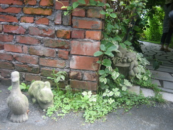 ２００９．８．２６・２７北海道 075-1.jpg