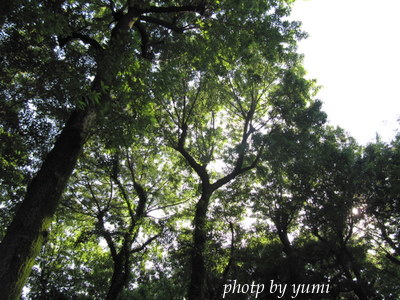 ２０１０．６ 038-2.jpg