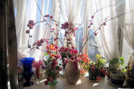 ２０１１．１ 055-1.jpg