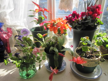 ２０１１．１ 016-1.jpg