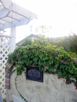 ２００９．８．２６・２７北海道 132-1.jpg